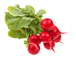 vegetables & Radish free transparent png image.