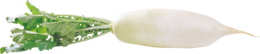 vegetables & Radish free transparent png image.