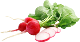 vegetables & radish free transparent png image.