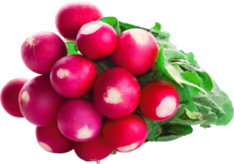 vegetables & Radish free transparent png image.