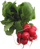 vegetables & radish free transparent png image.