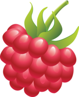 fruits & raspberry free transparent png image.