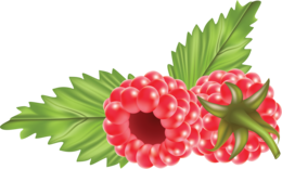 fruits & raspberry free transparent png image.