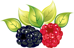 fruits & Raspberry free transparent png image.