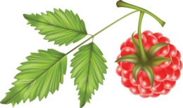 fruits & Raspberry free transparent png image.