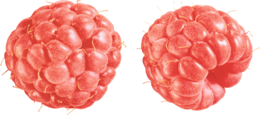 fruits & raspberry free transparent png image.