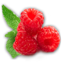 fruits & Raspberry free transparent png image.