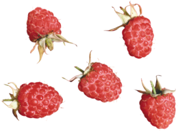 fruits & Raspberry free transparent png image.