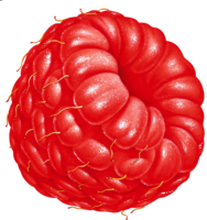 fruits & raspberry free transparent png image.