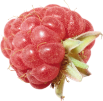 fruits & raspberry free transparent png image.