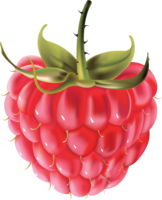 fruits & raspberry free transparent png image.