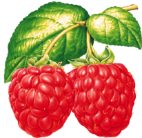 fruits & Raspberry free transparent png image.