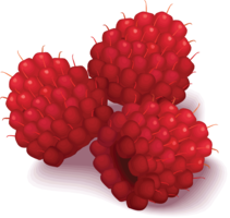 fruits & raspberry free transparent png image.