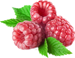 fruits & raspberry free transparent png image.