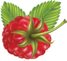 fruits & Raspberry free transparent png image.