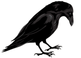 animals&Raven png image.