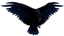 animals & Raven free transparent png image.