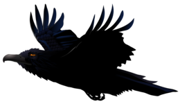 animals & Raven free transparent png image.