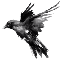 animals & raven free transparent png image.