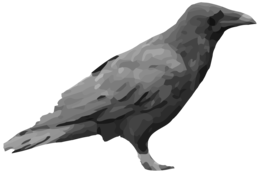 animals & raven free transparent png image.