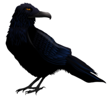 animals & raven free transparent png image.