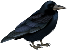 animals & Raven free transparent png image.