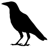 animals & raven free transparent png image.