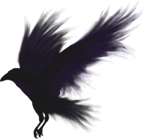 animals & raven free transparent png image.