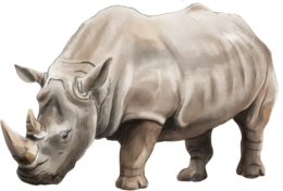 animals & rhino free transparent png image.