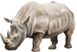 animals & Rhino free transparent png image.