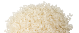 food & rice free transparent png image.