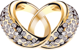 jewelry & Ring free transparent png image.