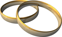 jewelry & Ring free transparent png image.