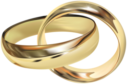 jewelry & Ring free transparent png image.