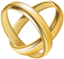 jewelry & Ring free transparent png image.