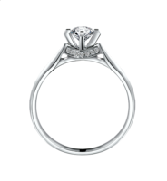 jewelry & ring free transparent png image.