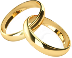 jewelry & Ring free transparent png image.