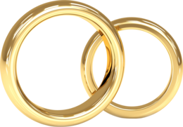 jewelry & Ring free transparent png image.