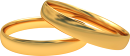 jewelry & Ring free transparent png image.