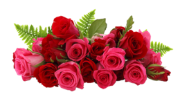 flowers&Rose png image.