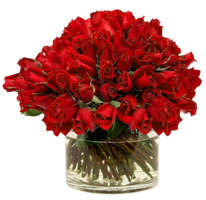 flowers & rose free transparent png image.