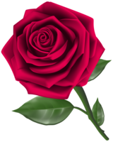 flowers & rose free transparent png image.