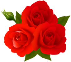 flowers & Rose free transparent png image.