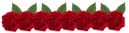 flowers & rose free transparent png image.