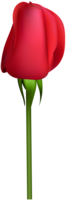 flowers & rose free transparent png image.