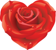 flowers & Rose free transparent png image.