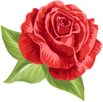 flowers & Rose free transparent png image.