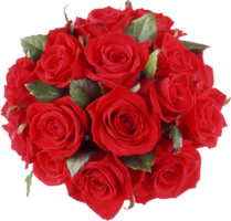 flowers & Rose free transparent png image.