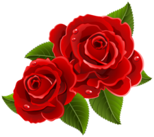 flowers & Rose free transparent png image.