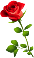 flowers & Rose free transparent png image.